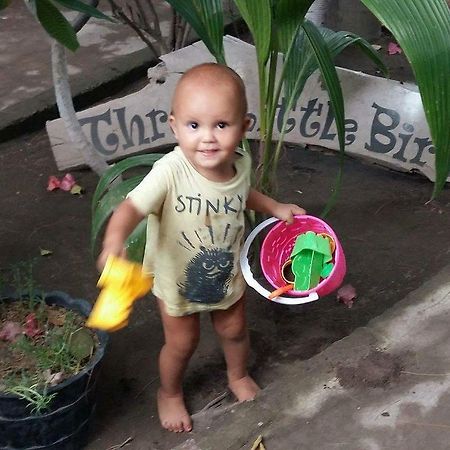 גילי טרוונגן Three Little Birds Homestay מראה חיצוני תמונה