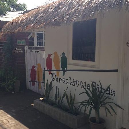 גילי טרוונגן Three Little Birds Homestay מראה חיצוני תמונה
