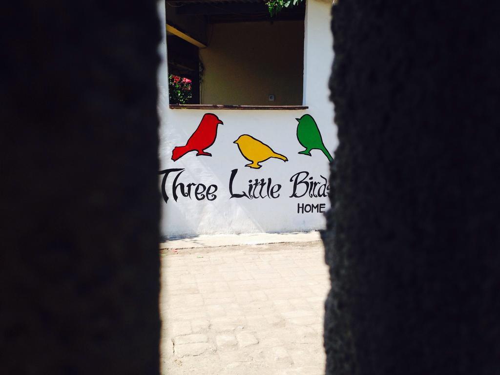 גילי טרוונגן Three Little Birds Homestay מראה חיצוני תמונה