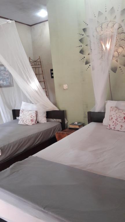 גילי טרוונגן Three Little Birds Homestay מראה חיצוני תמונה